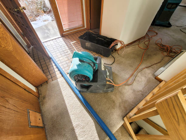 Best 24/7 water damage repair  in Pine Ridge, PA