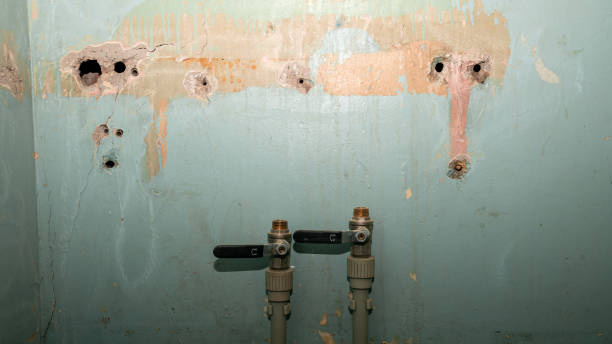 Best Professional water damage repair  in Pine Ridge, PA