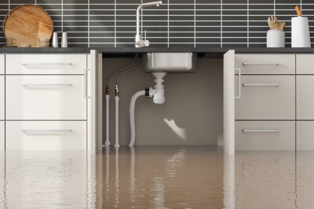 Best Flood damage cleanup  in Pine Ridge, PA